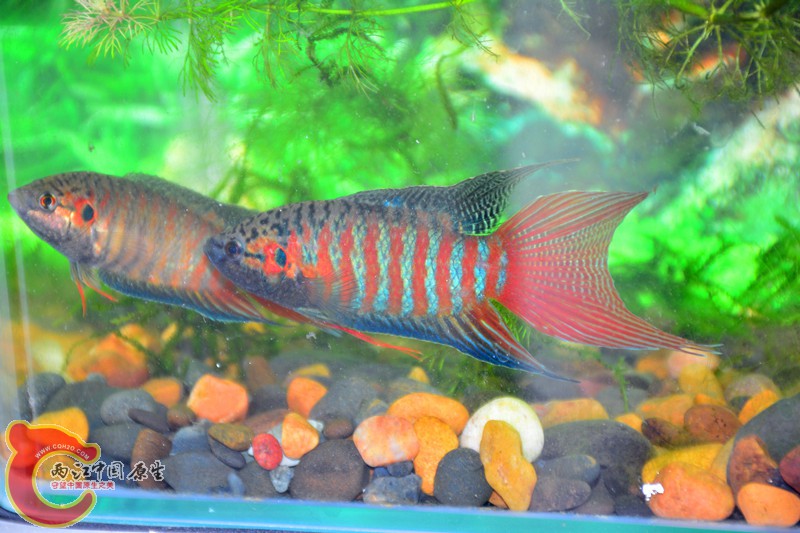 DSC_2114.JPG