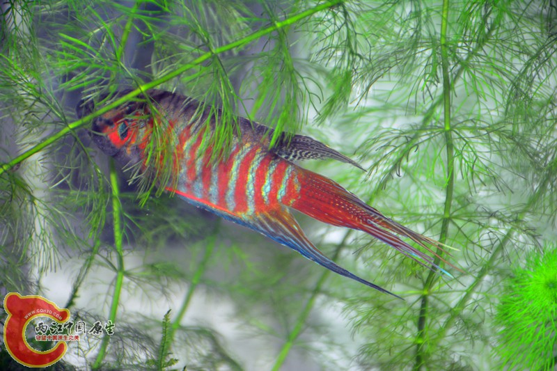 DSC_2121.JPG