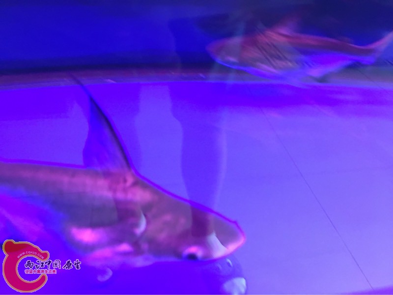 124146yle3xfnl22n72khh.jpg