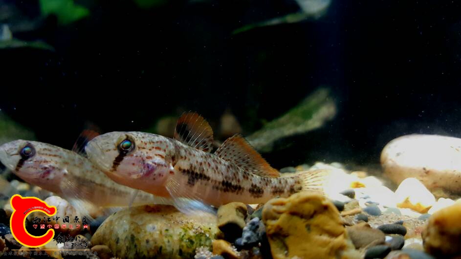 220053iubu69uf937ynjmf.jpg