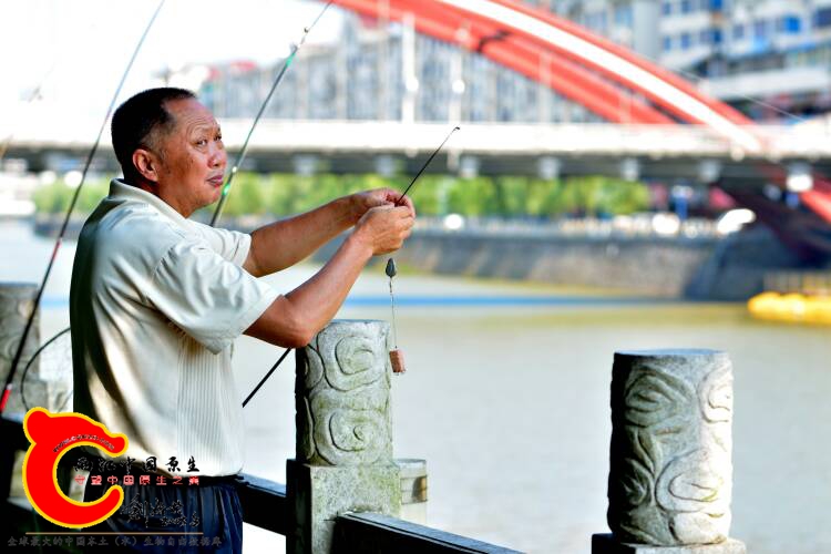092318po74dhokd77ktgmi.JPG