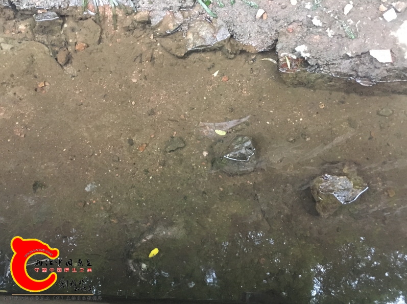 水渠干枯2_看图王.jpg