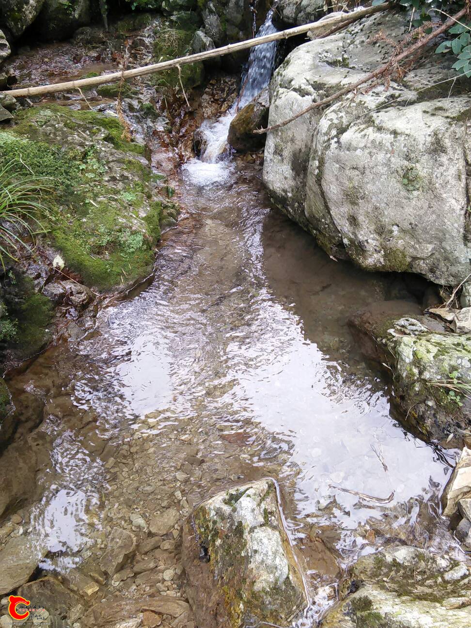 173357t00mc6xaanumc6up.jpg