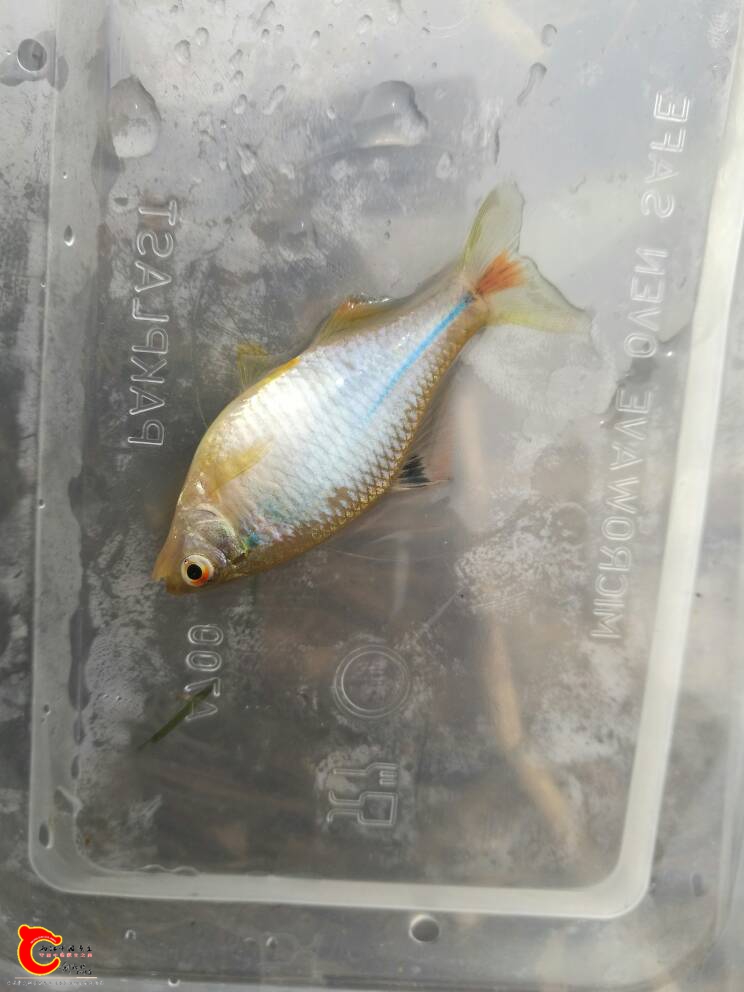 222919pk7799koix7gi1x9.jpg