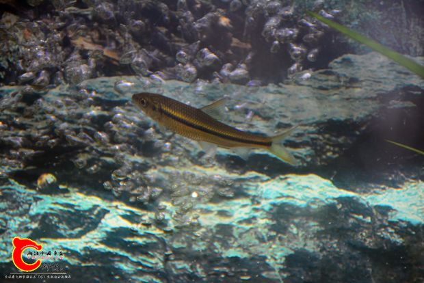 DSC_2189.JPG