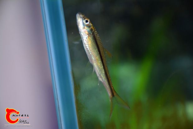 DSC_2192.JPG