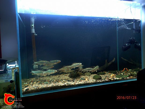 P7232619_副本_副本.jpg