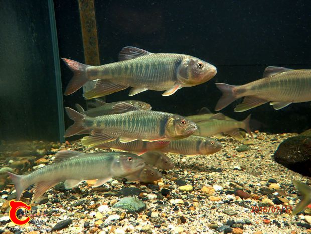 P7172576_副本_副本.jpg