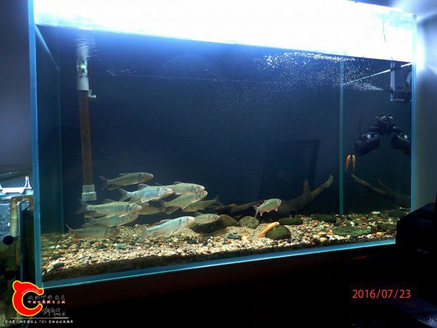 P7232615_副本_副本.jpg