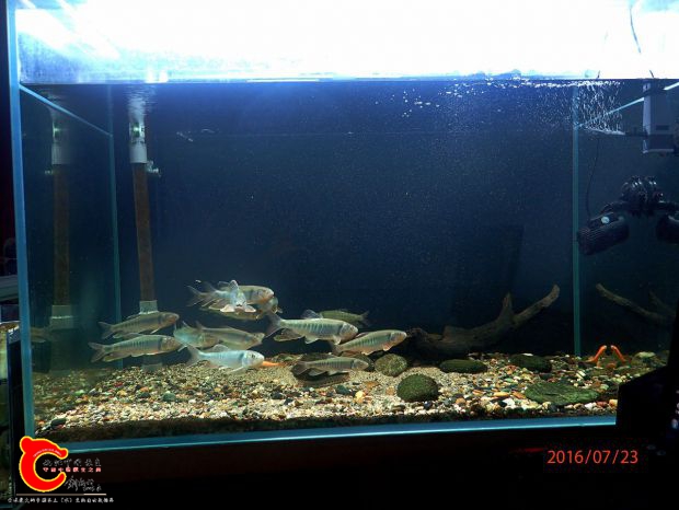 P7232621_副本_副本.jpg