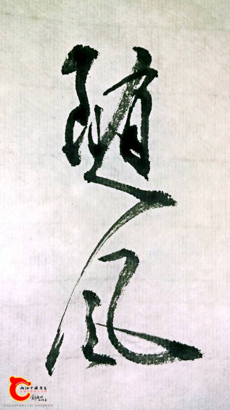 004951wm4lz4hw4ybibiby.jpg