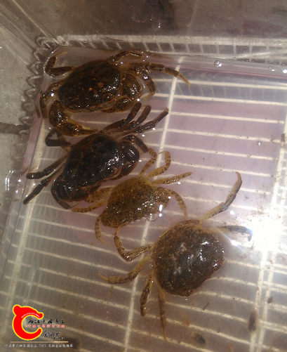 QQ图片20160728080102.png