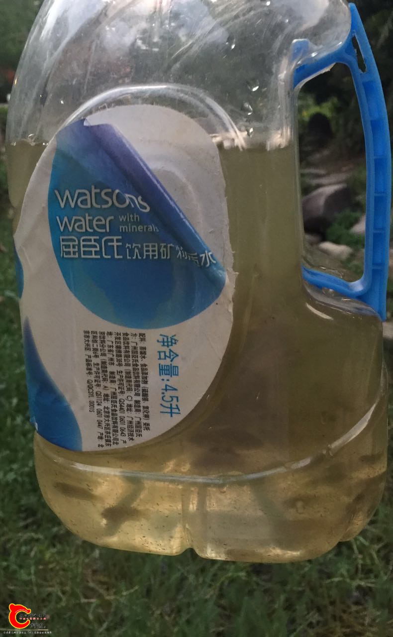 220929ybsb3sblrksiqssi.jpg