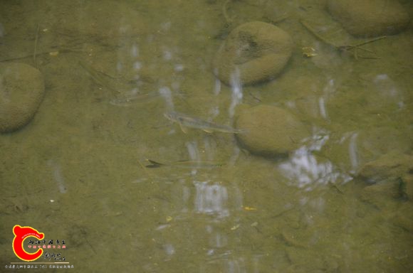 1dabdb95d143ad4b1d3831928a025aafa50f06e2.jpg