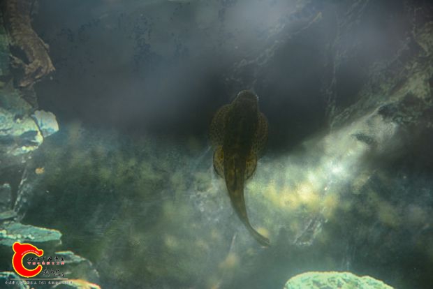 DSC_2204.JPG