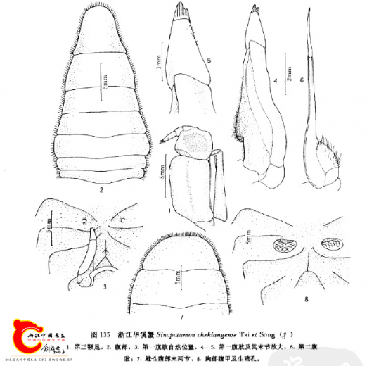 QQ拼音截图未命名.png