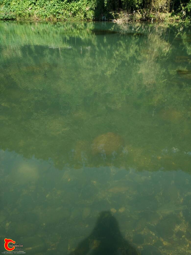 150454m9eu6cwfiuecyodi.jpg
