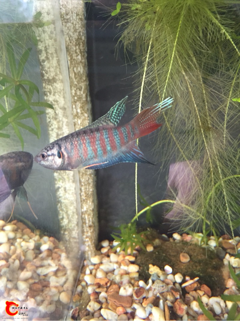 231405sp3sp66kn6pp32yg.jpg