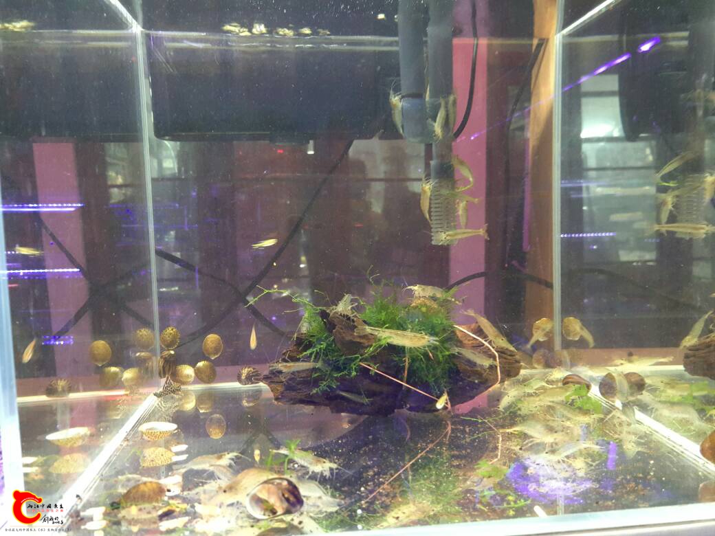 133904iiwp3uqcc3xcc1u1.jpg