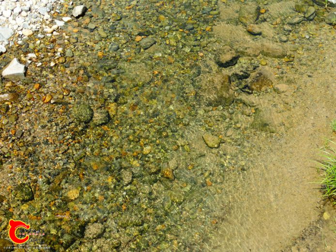 DSC02682.JPG