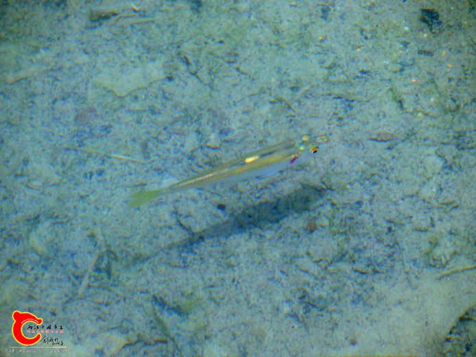 DSC02686.JPG