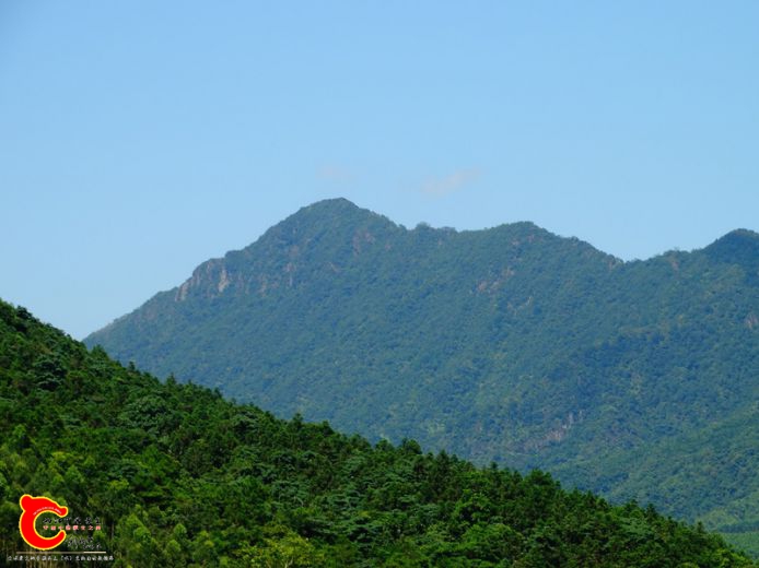 DSC02690.JPG