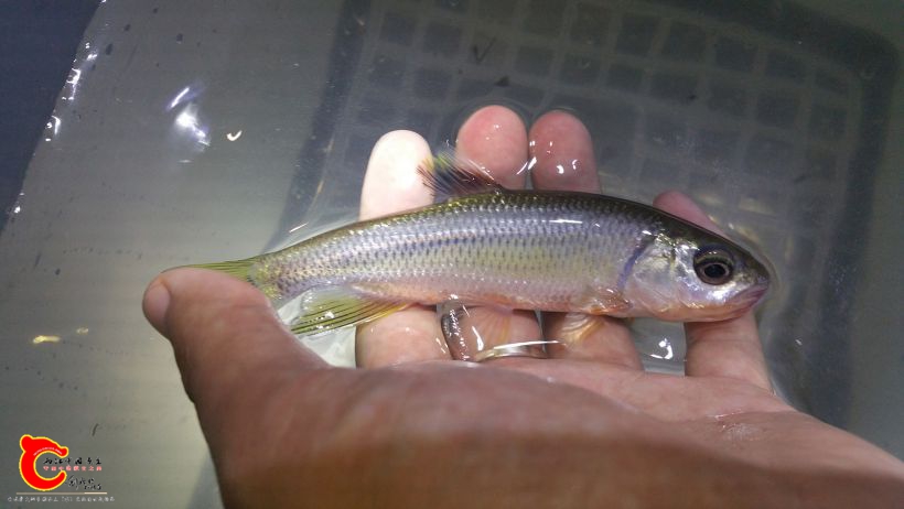 20160805_221733.jpg