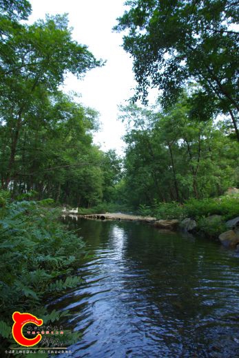 IMGP1377.JPG