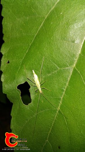 20160806_231305.jpg