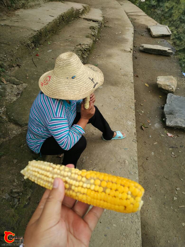 122929efhh8f7upjfp0fav.jpg