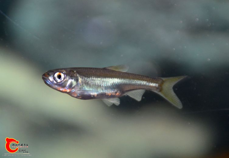 DSC_2239.JPG