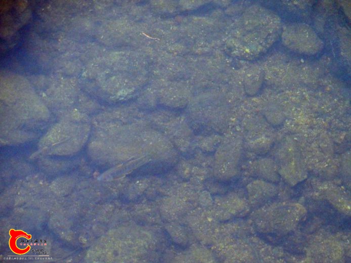 DSC02751.JPG