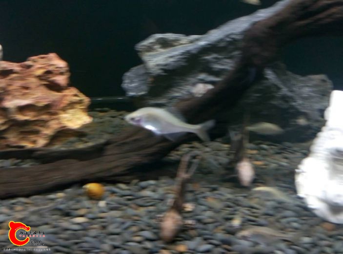 用什么药比较好