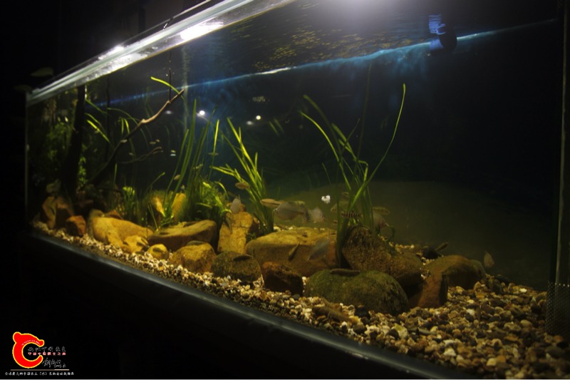 201354t5gnrecb7dd6n3rb.jpg