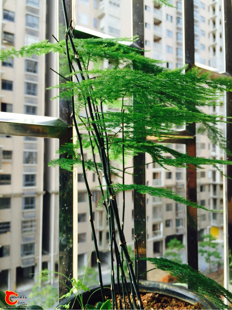 091810xwsiebq8ues8qnvr.jpg