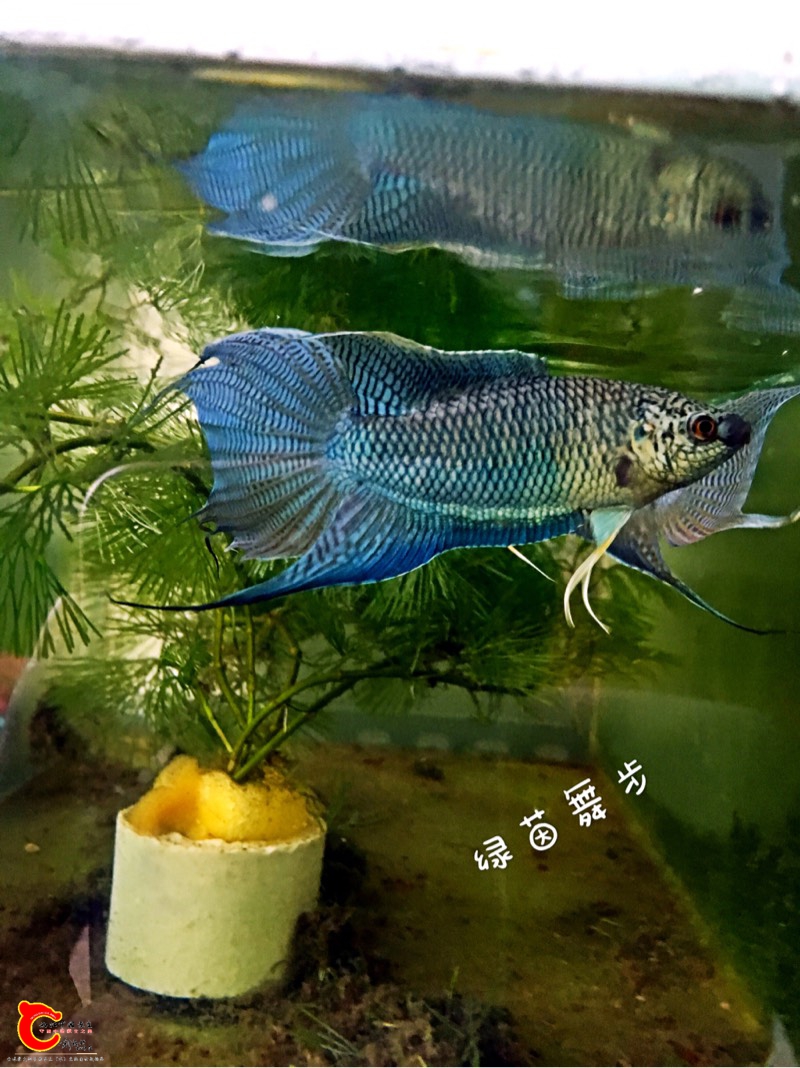 192557yk7gkxr8t6726yyy.jpg