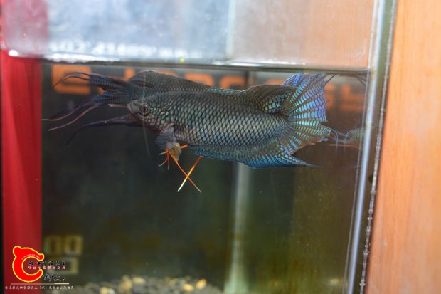 DSC_0357.JPG