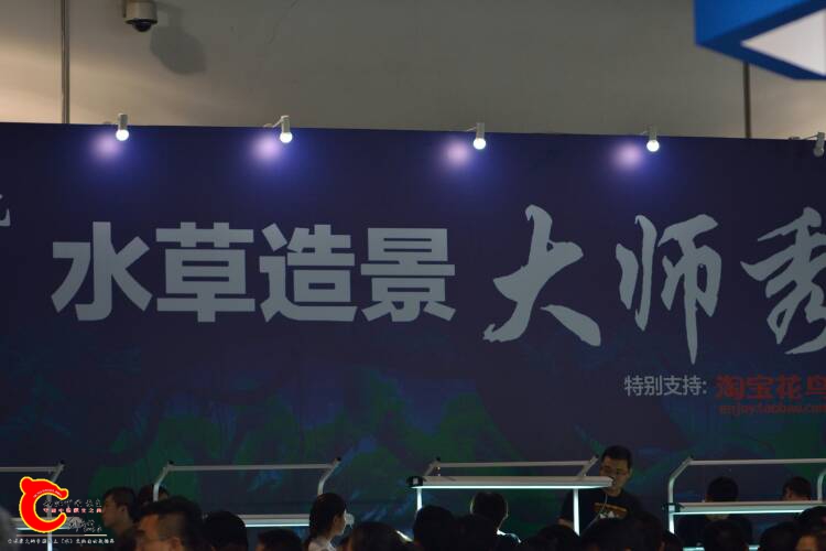 074515ibxqubj74babb4hx.JPG