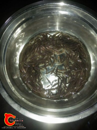 养成的公分苗