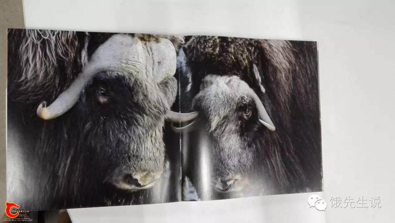 697dd189ec50ad1839af02be0b70b71f.jpg 697dd189ec50ad1839af02be0b70b71f.jpg