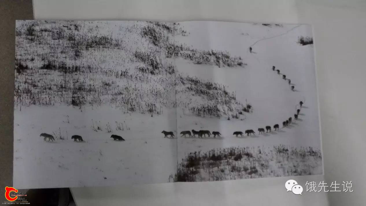 53baac70884ea6b8a7bd5463b90eb856.jpg 53baac70884ea6b8a7bd5463b90eb856.jpg