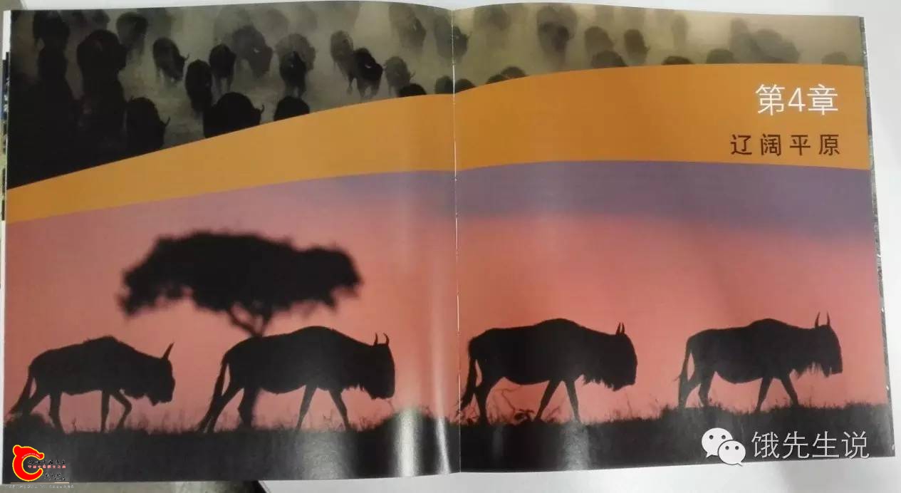 28d1d32534f19bbd6869905f8b649ff7.jpg 28d1d32534f19bbd6869905f8b649ff7.jpg