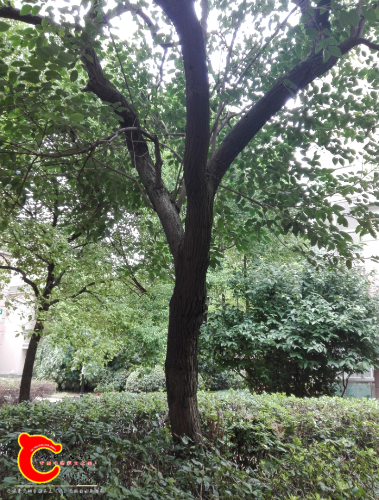 IMG_20160828_135215.png