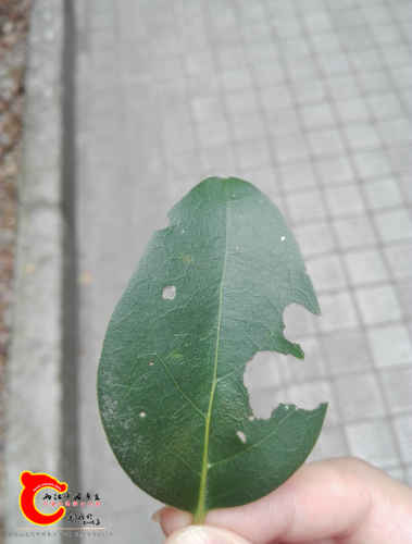 IMG_20160828_135253.png