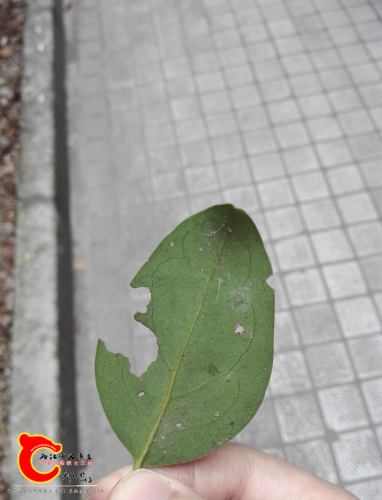 IMG_20160828_135307.png