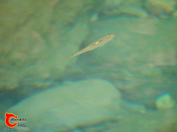 DSC02943.JPG