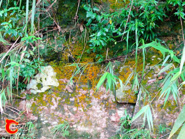 DSC02972.JPG