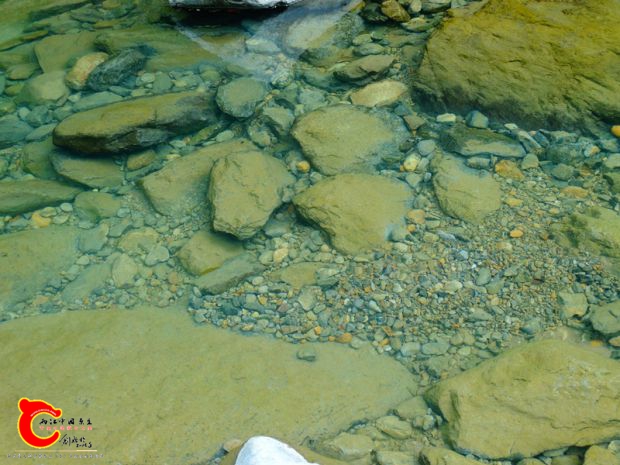 DSC02980.JPG