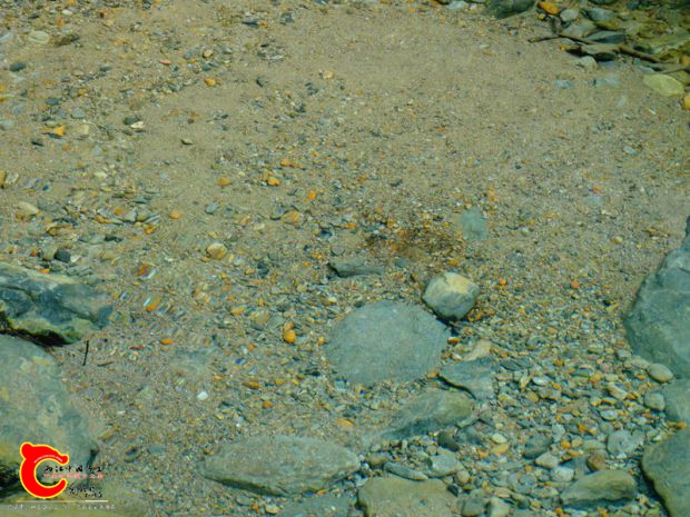 DSC02986.JPG