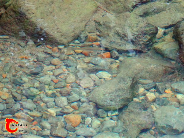 DSC02989.JPG